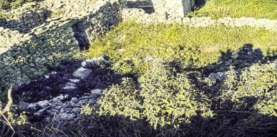 Οικόπεδο με κτίσματα 130 τ.μ. Κουσουναρι, Κυθηρα - (μικρογραφία 7)