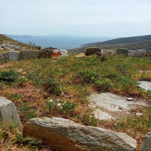 Πολειται αγροτεμάχια - (μικρογραφία 12)