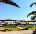 Beach Bar, Εστιατόριο & Ενοικιαζόμενα Δωμάτια (μικρογραφία)
