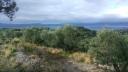 Buildable Land near Kalamata with olive trees Θουρια νομού Μεσσηνίας, Πελοπόννησος Οικόπεδα - Αγροτεμάχια Ακίνητα (μικρογραφία 2)