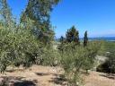Αγροτεμάχιο Ψηλά Αλώνια Ξυλοκαστρο νομού Κορινθίας, Πελοπόννησος Οικόπεδα - Αγροτεμάχια Ακίνητα (μικρογραφία 2)