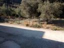 Γωνιακό οικόπεδο στην Μυρτιά Αιγίου (μικρογραφία)