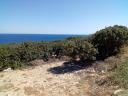 ΟΙΚΟΠΕΔΟ με μαστιχόδενδρα Χίος νομού Χίου, Νησιά Αιγαίου Οικόπεδα - Αγροτεμάχια Ακίνητα (μικρογραφία 1)