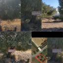 Πωλειται Αγροτεμαχιο (μικρογραφία)