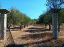 Πωλειται Οικόπεδο 610τμ (μικρογραφία)