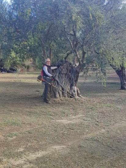 Αγροτική απασχόληση, Tel  6940974556 Σκαλα νομού Λακωνίας, Πελοπόννησος Χειρονακτική εργασία - Εργάτες Εργασία (φωτογραφία 1)