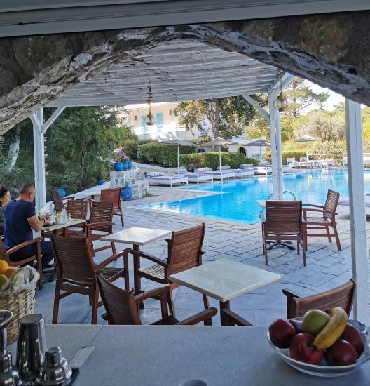 ΚΟΠΕΛΑ ΓΙΑ POOL BAR- SNACK BAR Ρόδος νομού Δωδεκανήσου, Νησιά Αιγαίου Τουριστικός - Ξενοδοχειακός τομέας Εργασία (φωτογραφία 1)