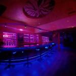 Σερβιτόρες κοπέλες και χορευτριες