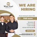 Waiter για εστιατόριο ξενοδοχείου στη Σαντορίνη (μικρογραφία)