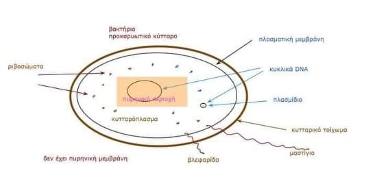 ΜΑΘΗΜΑΤΙΚΑ ΦΥΣΙΚΗ ΧΗΜΕΙΑ ΒΙΟΛΟΓΙΑ  -  ΘΗΡΑ Θηρα νομού Κυκλάδων, Νησιά Αιγαίου Διδακτική - Ιδιαίτερα μαθήματα Μαθήματα (φωτογραφία 1)