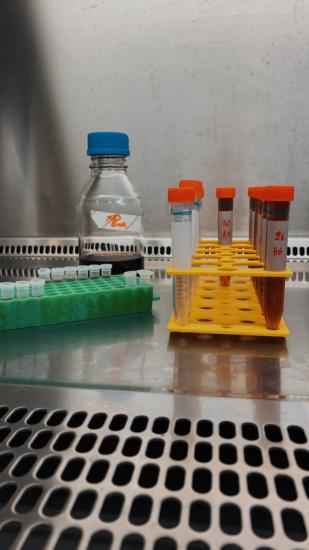 Θετικά μαθήματα σε δημοτικό και γυμνάσιο από Βιολόγο ΑΠΘ Αλεξανδρούπολη νομού Έβρου, Θράκη Διδακτική - Ιδιαίτερα μαθήματα Μαθήματα (φωτογραφία 1)