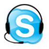 Ιδιαίτερα Μαθήματα Πληροφορικής ECDL μέσω Skype με 15€/ώρα (μικρογραφία)