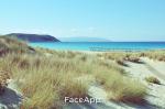 Αλάνθαστο και αξιόπιστο μέντιουμ ,6941647216 (μικρογραφία)
